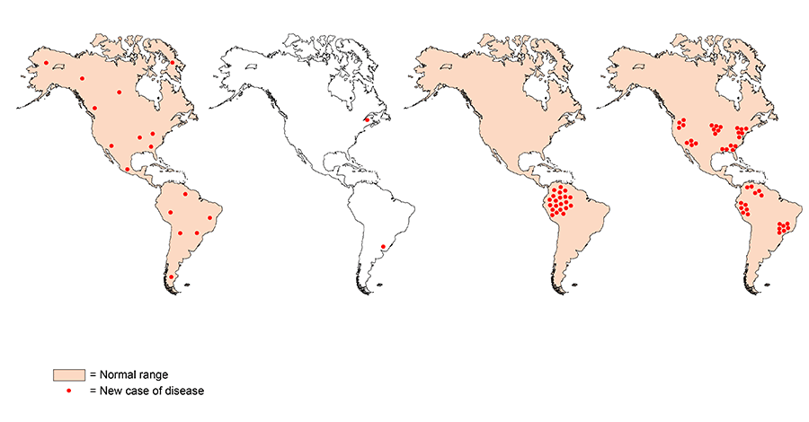 Outbreak Types Drag each label onto the diagram according | StudyX