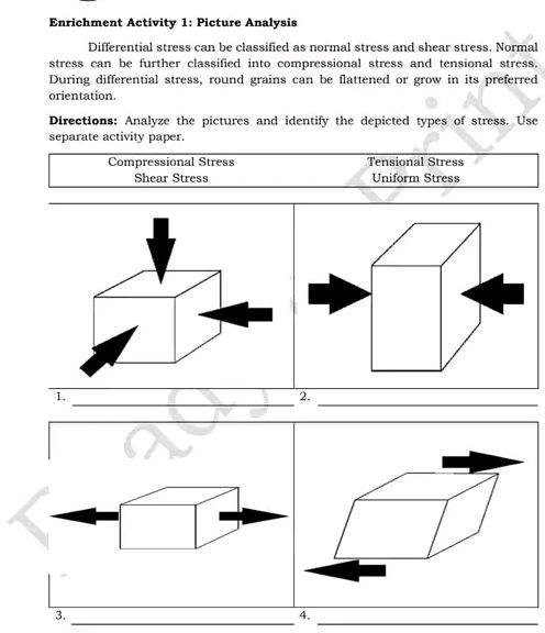Enrichment Activity 1: Picture Analysis | StudyX