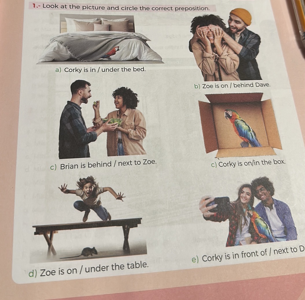 1.- Look at the picture and circle the | StudyX