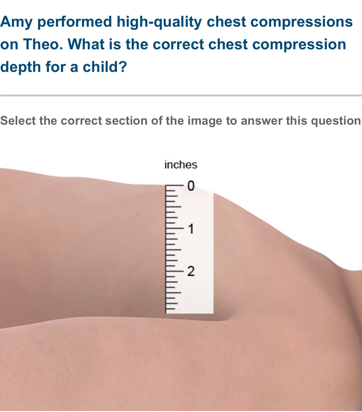 Amy performed high-quality chest | StudyX