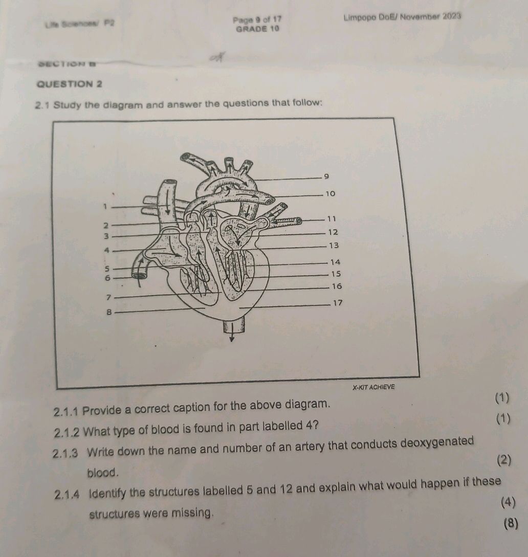SECTION B QUESTION 2 2.1 Study the diagram | StudyX