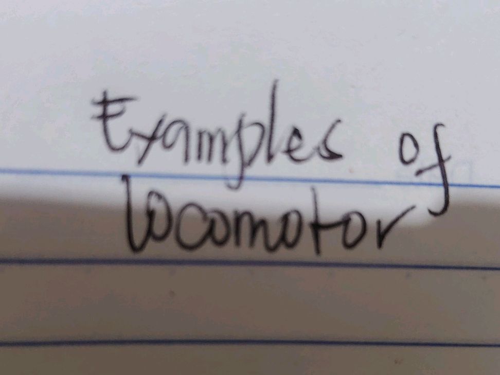 Examples of Locomotor Movements | StudyX
