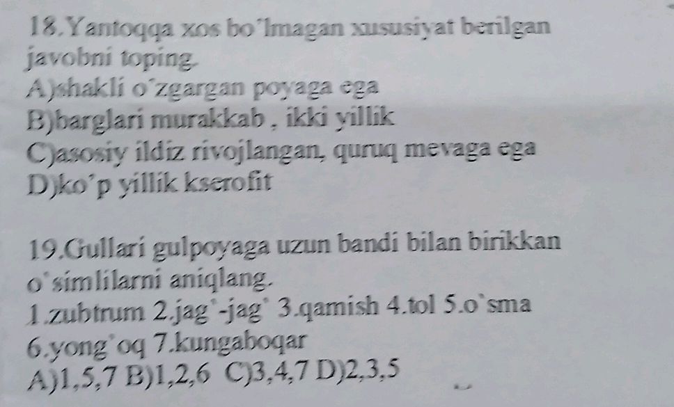 Yantoq Rasm Yantoqqa xos bo'lmagan xususiyat berilgan