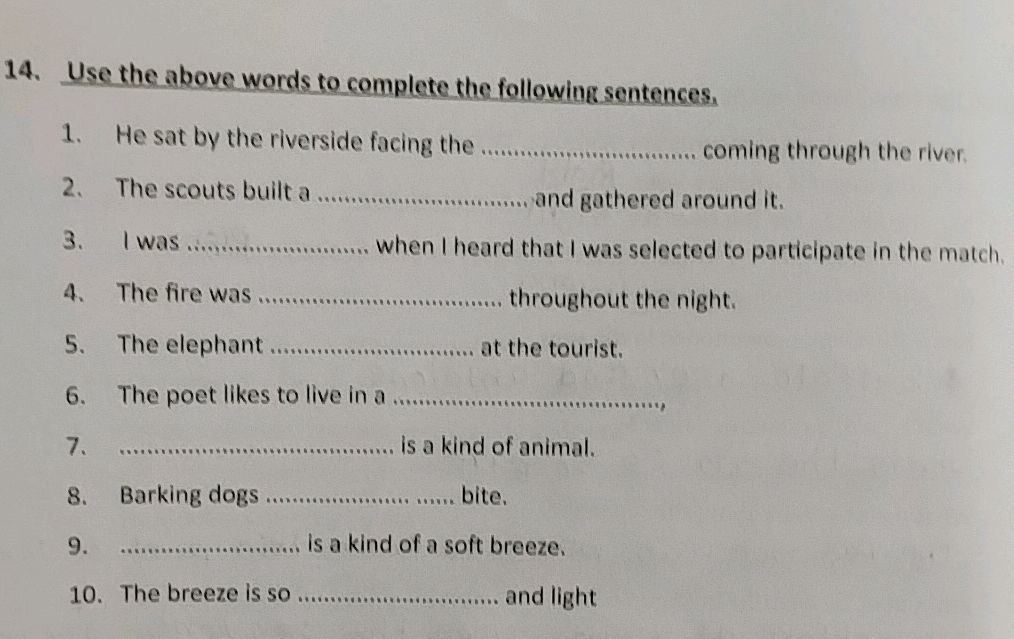 Use the above words to complete the