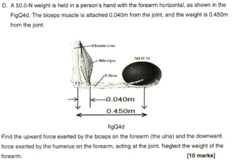 a-50-0-n-weight-is-held-in-a-person-s-hand