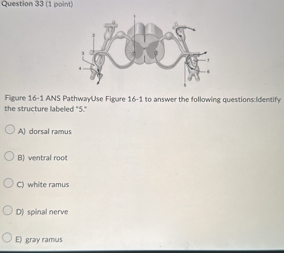 Identify the structure labeled