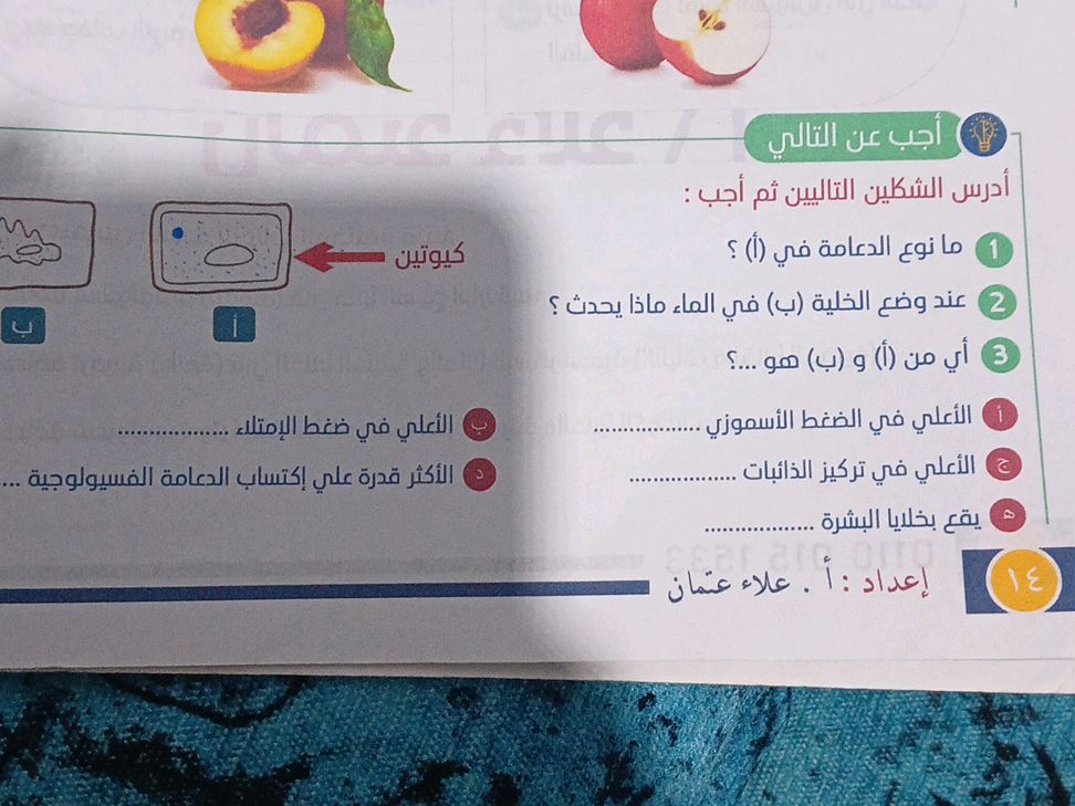 أجب عن التالي أدرس الشكلين التاليين ثم أجب | StudyX