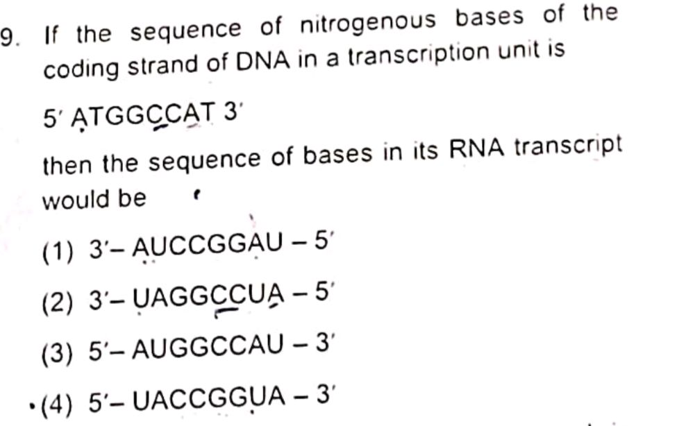 If the sequence of nitrogenous bases of the | StudyX