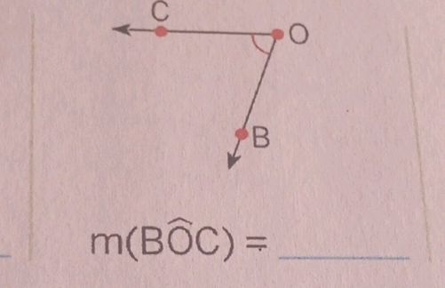 Geometry angle measurement BOC | StudyX