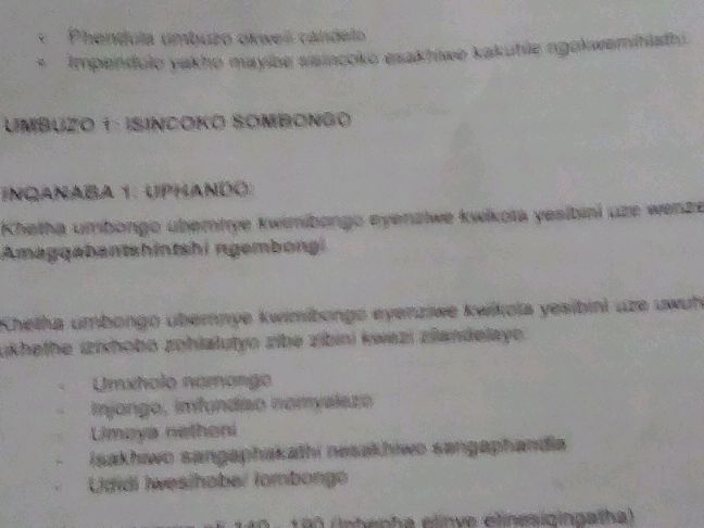 UMBUZO 1: ISINCOKO SOMBONGO INQANABA 1: | StudyX