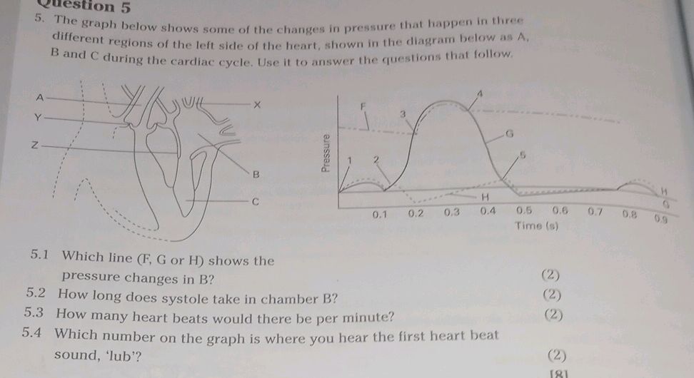 The graph below shows some of the changes in