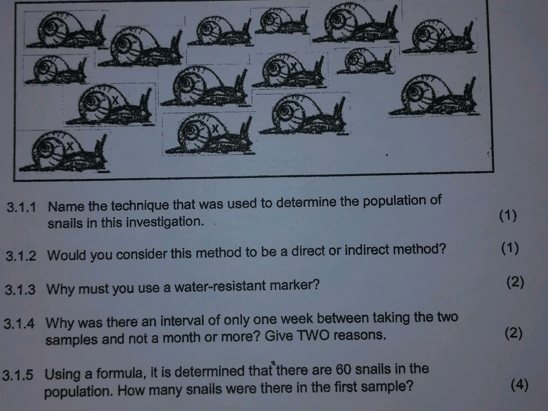 Snail Method Math 3.1.1 Name the technique that was used to