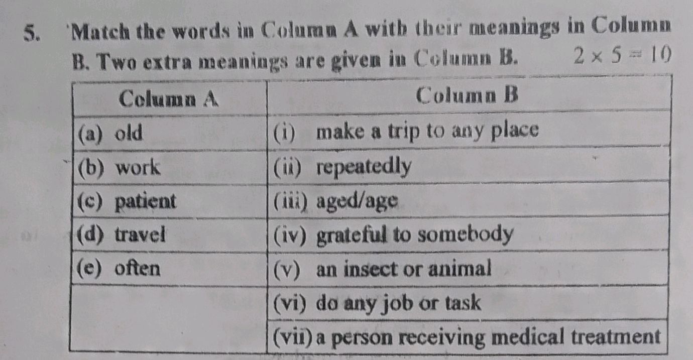 5. Match the words in Column A with their | StudyX