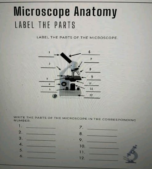 Microscope Anatomy LABEL THE PARTS LABEL THE | StudyX