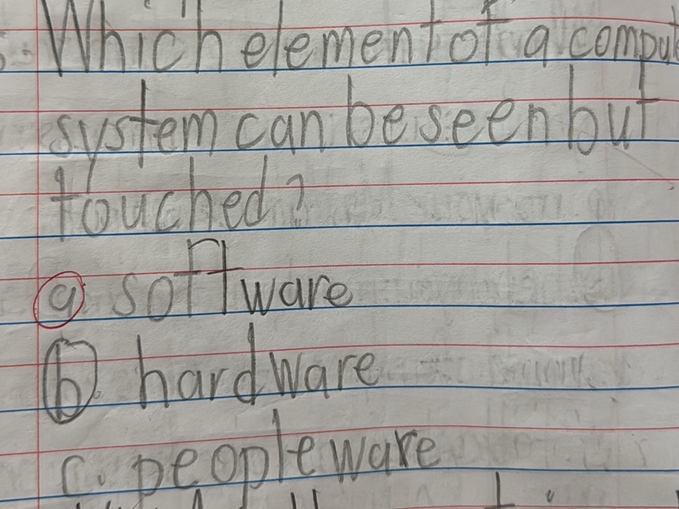 Which element of a computer system can be