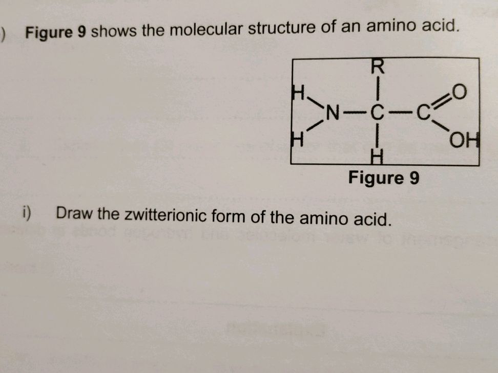 Zwitterionic Form Figure 9 shows the molecular structure of an