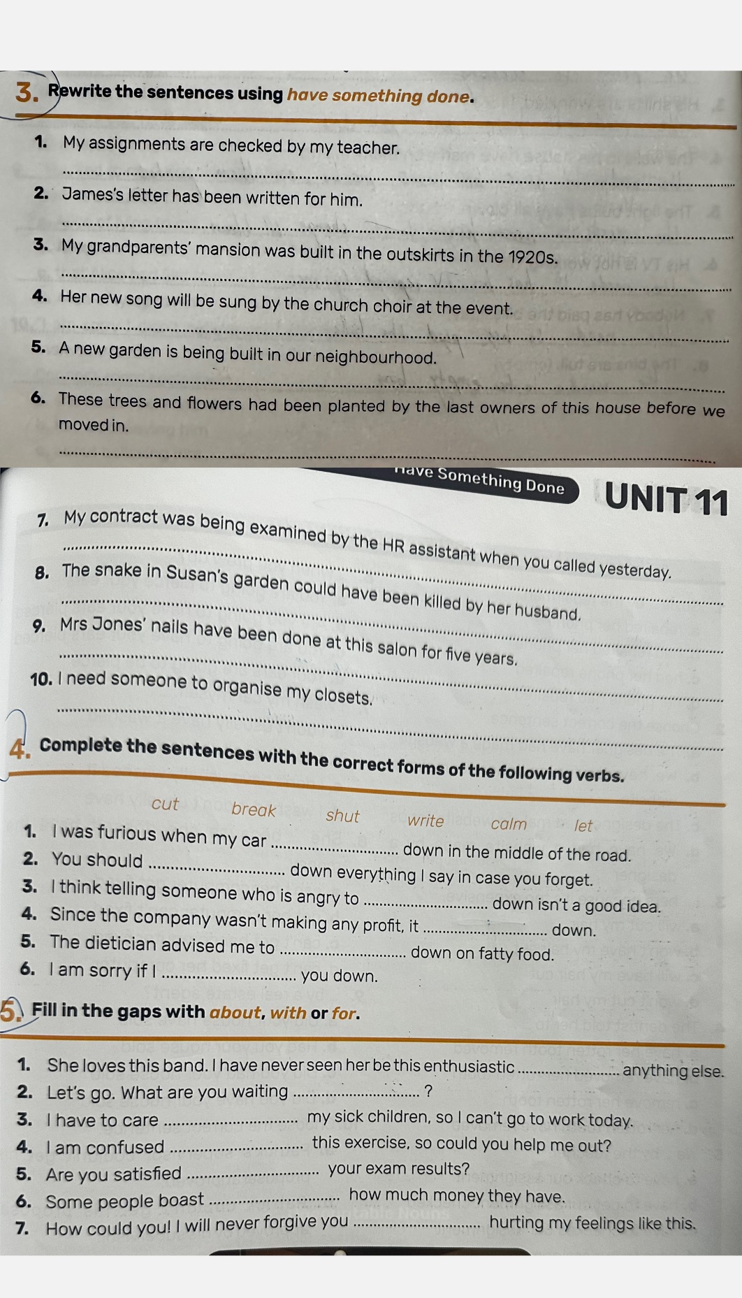 Rewrite the sentences using have something