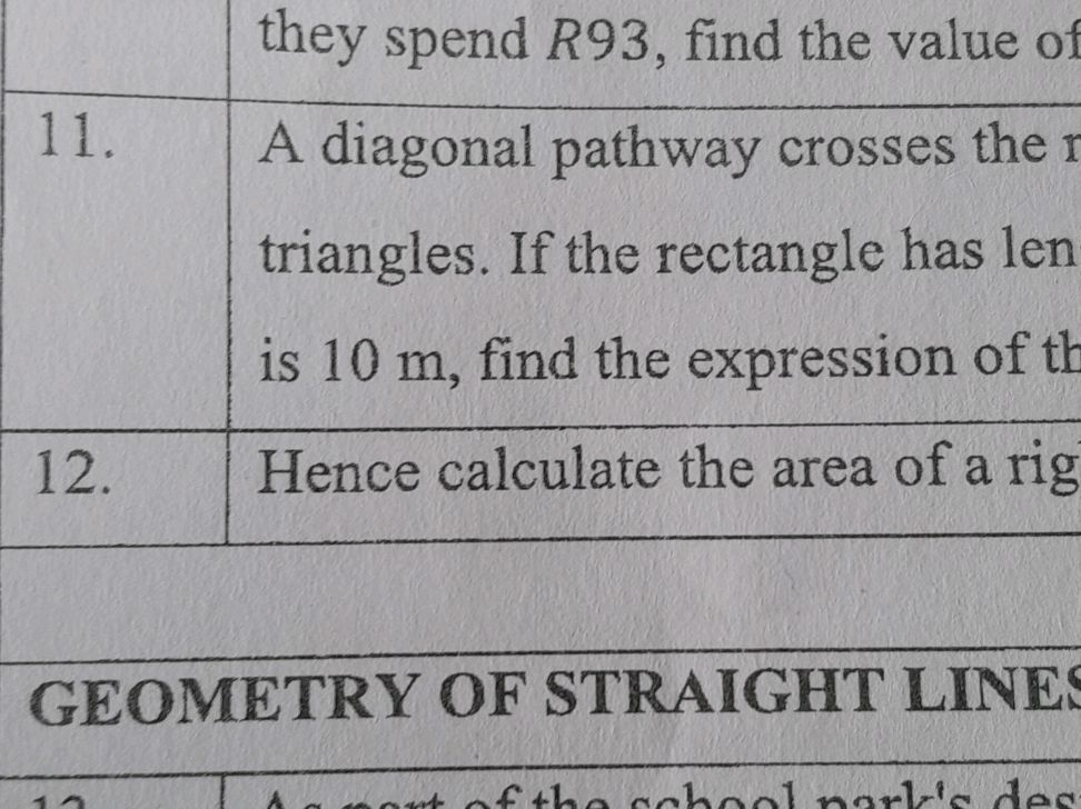 11. A diagonal pathway crosses the | StudyX