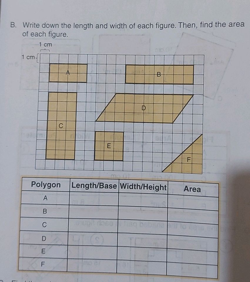 B. Write down the length and width of each