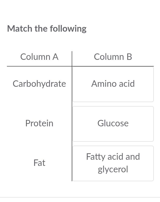 Match the following | Column A | Column B | | StudyX