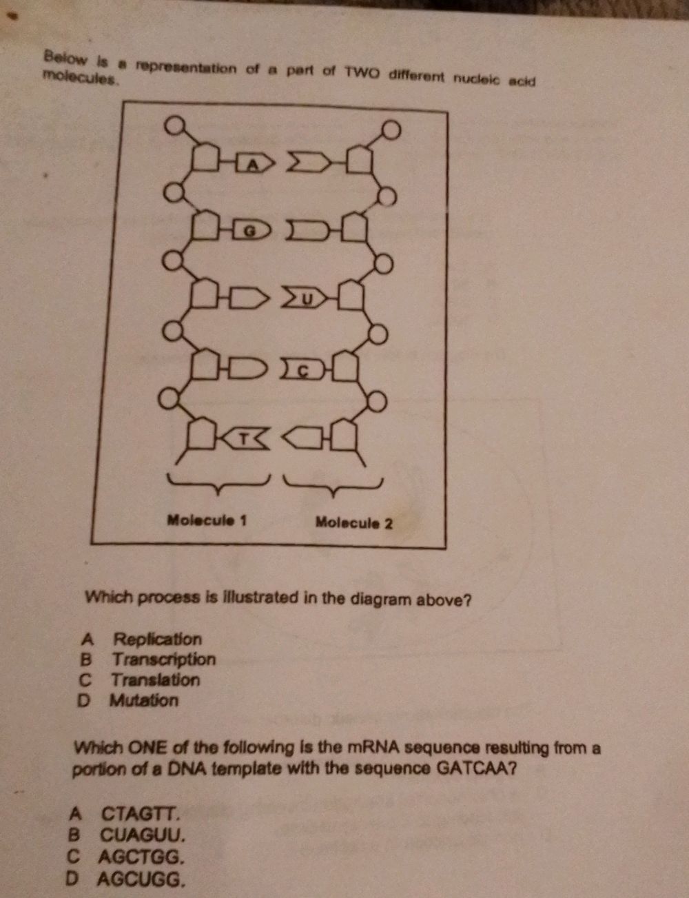 Which process is illustrated in the diagram