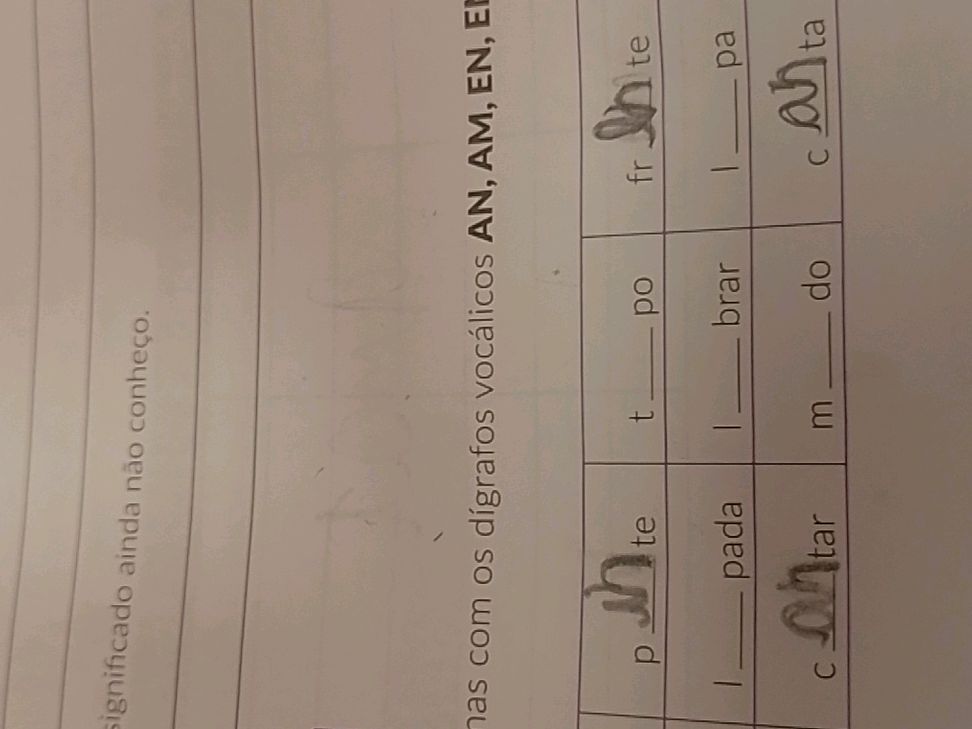 Complete the words with the digraphs AN, AM, | StudyX