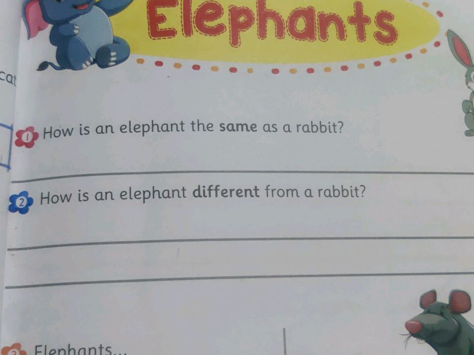 Elephant And Rabbit Task 1. How is an elephant the same as a rabbit? | StudyX