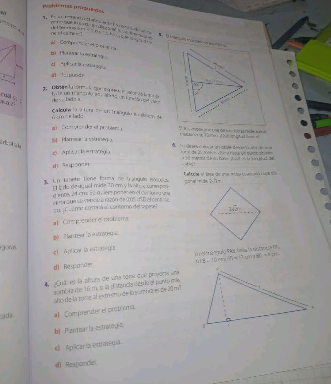 En un terreno rectangular se ha construido