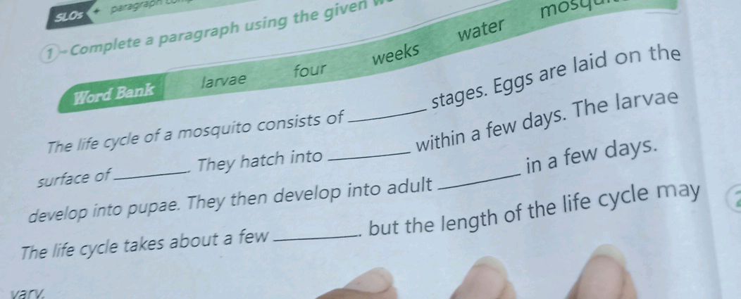 1- Complete a paragraph using the given | StudyX