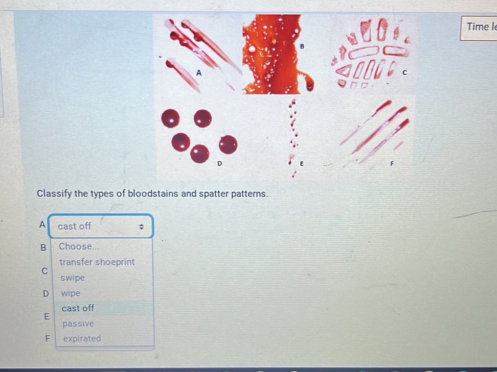Classify the types of bloodstains and