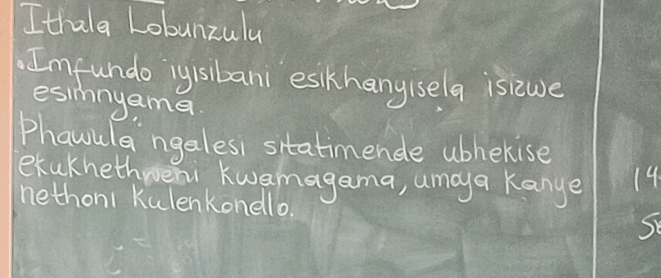 Phawula Ithala Lobunzulu •Imfundo iyisibani | StudyX