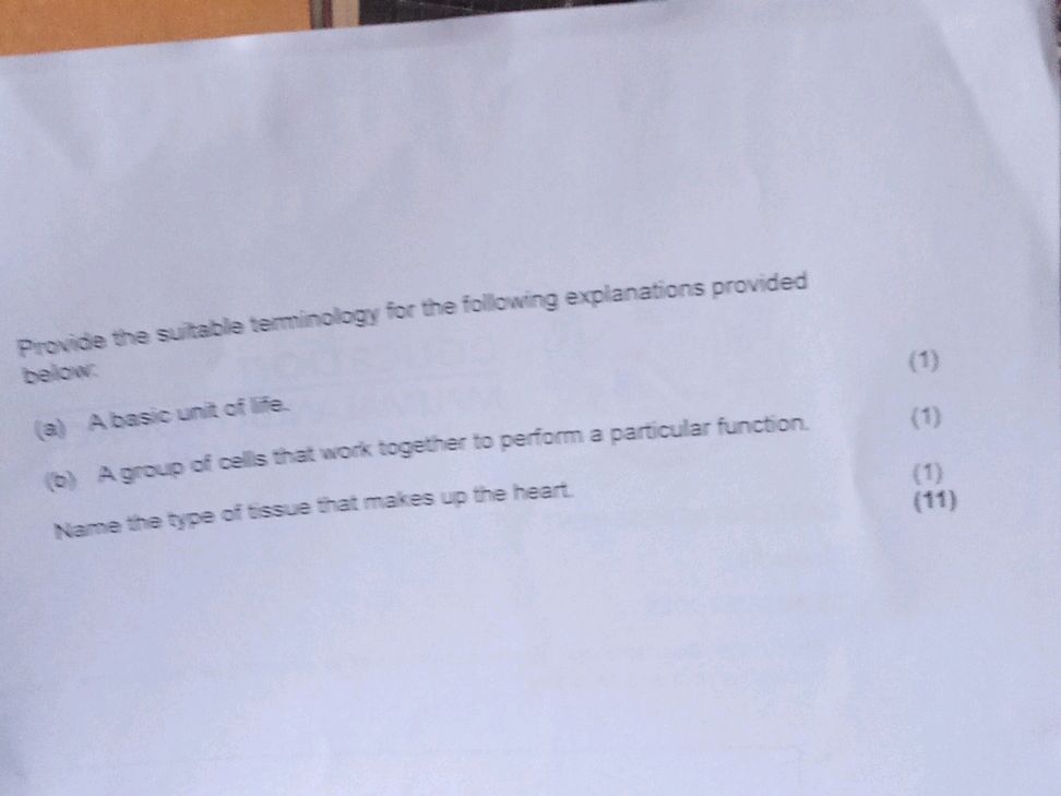 Image showcasing Reddit - Dive into anything