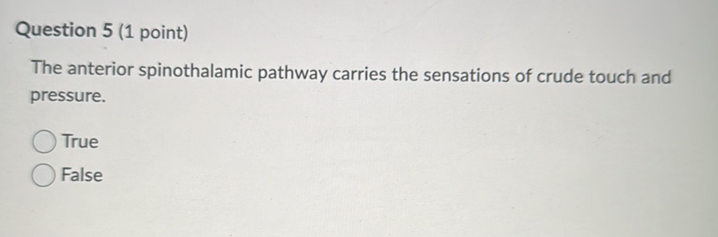 Question 5 (1 point) The anterior