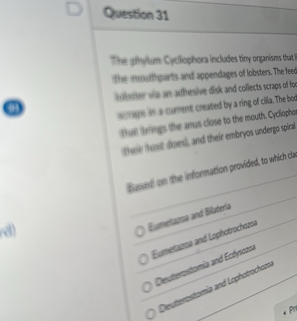 Question 31 The phylum Cycliophora includes | StudyX