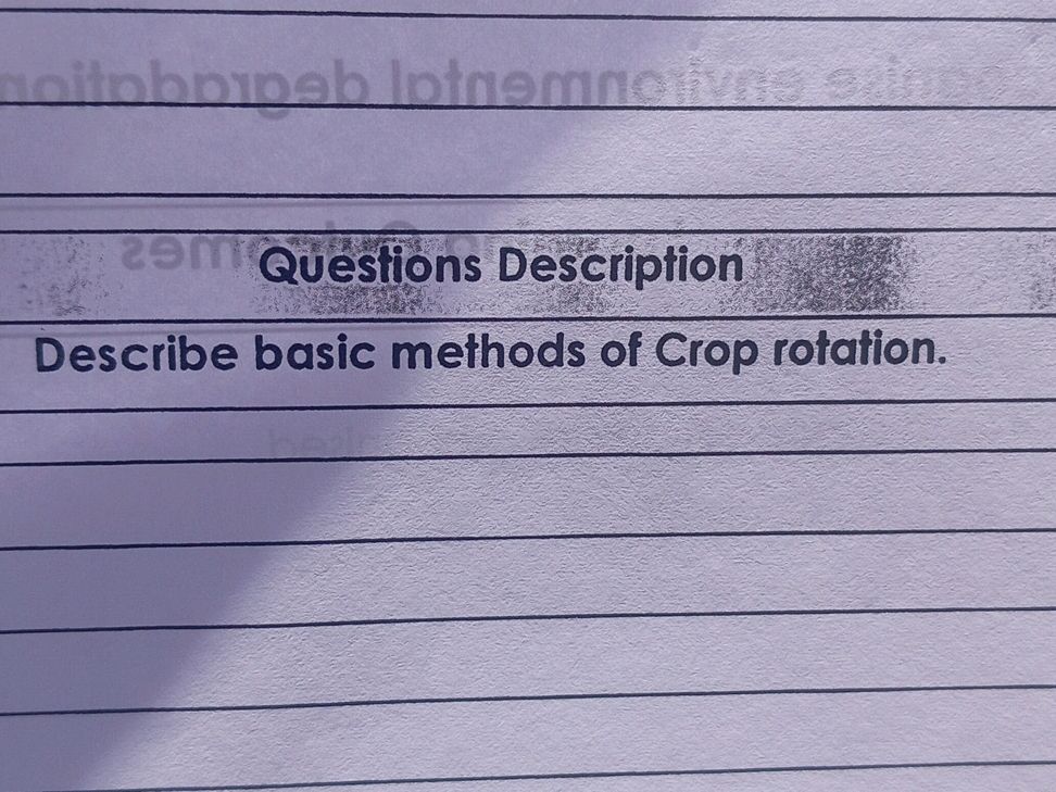 Crop Rotation Methods Explained | StudyX