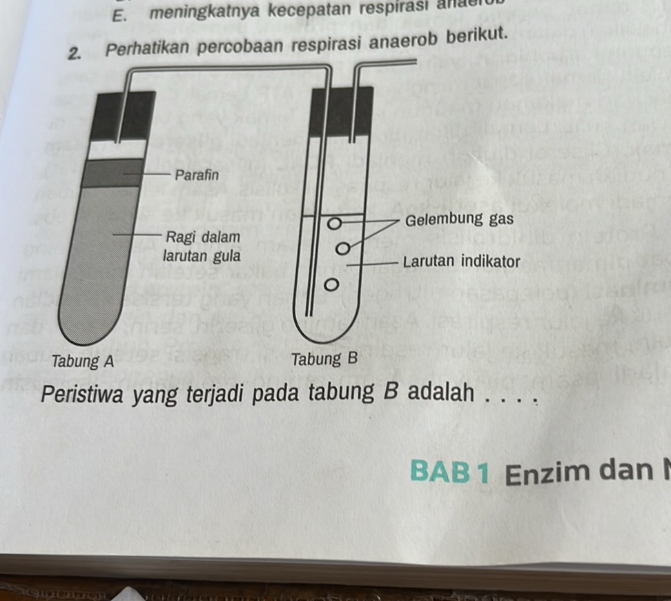 Perhatikan percobaan respirasi anaerob | StudyX