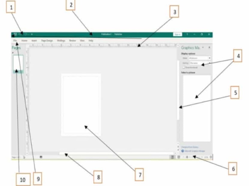 The image shows a screenshot of a software | StudyX