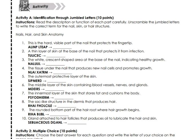 Activity A: Identification through Jumbled | StudyX