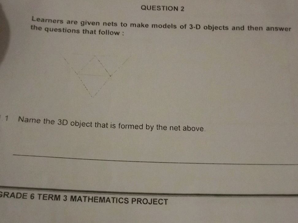 Learners are given nets to make models of | StudyX