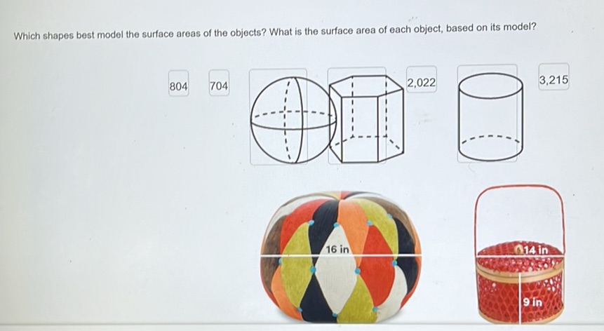 Which shapes best model the surface areas of | StudyX