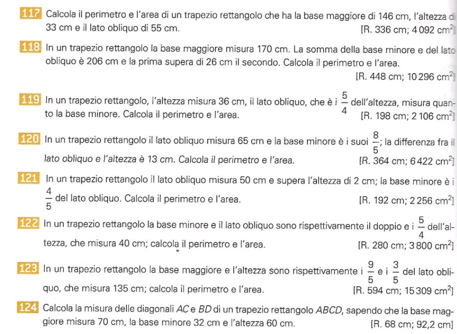 117 Calcola il perimetro e l'area di un | StudyX
