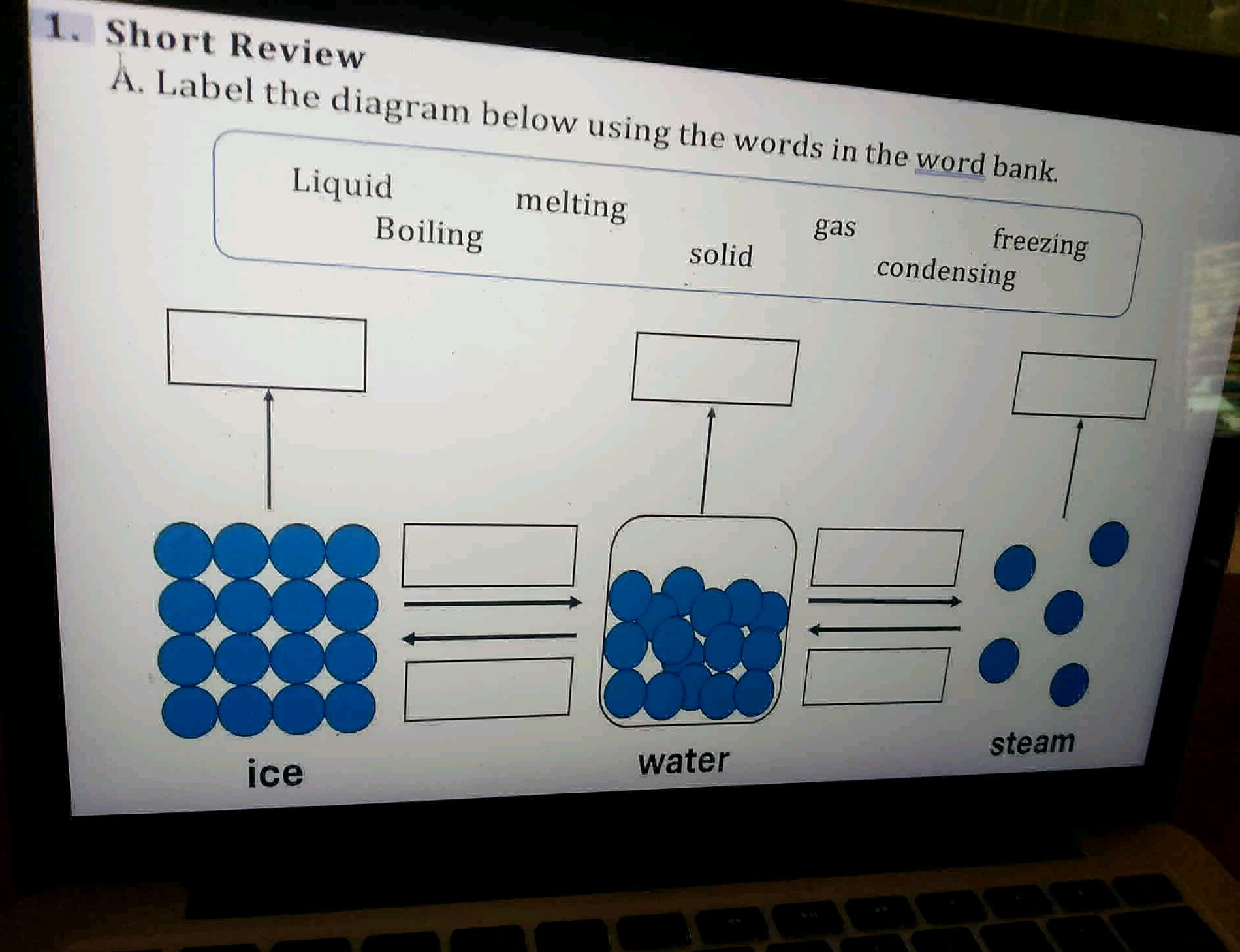 1. Short Review A. Label the diagram below | StudyX