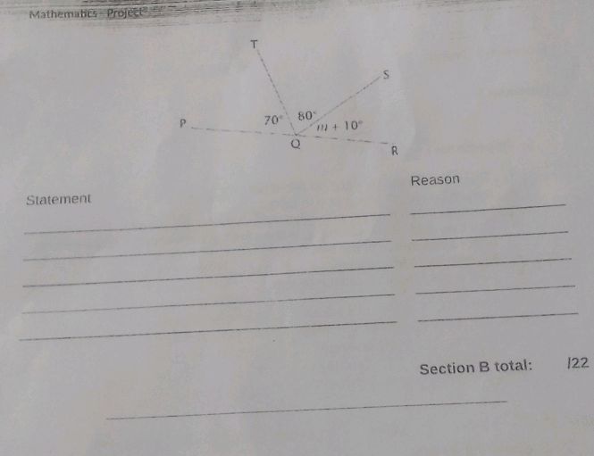 Mathematics Project Statement Reason | StudyX