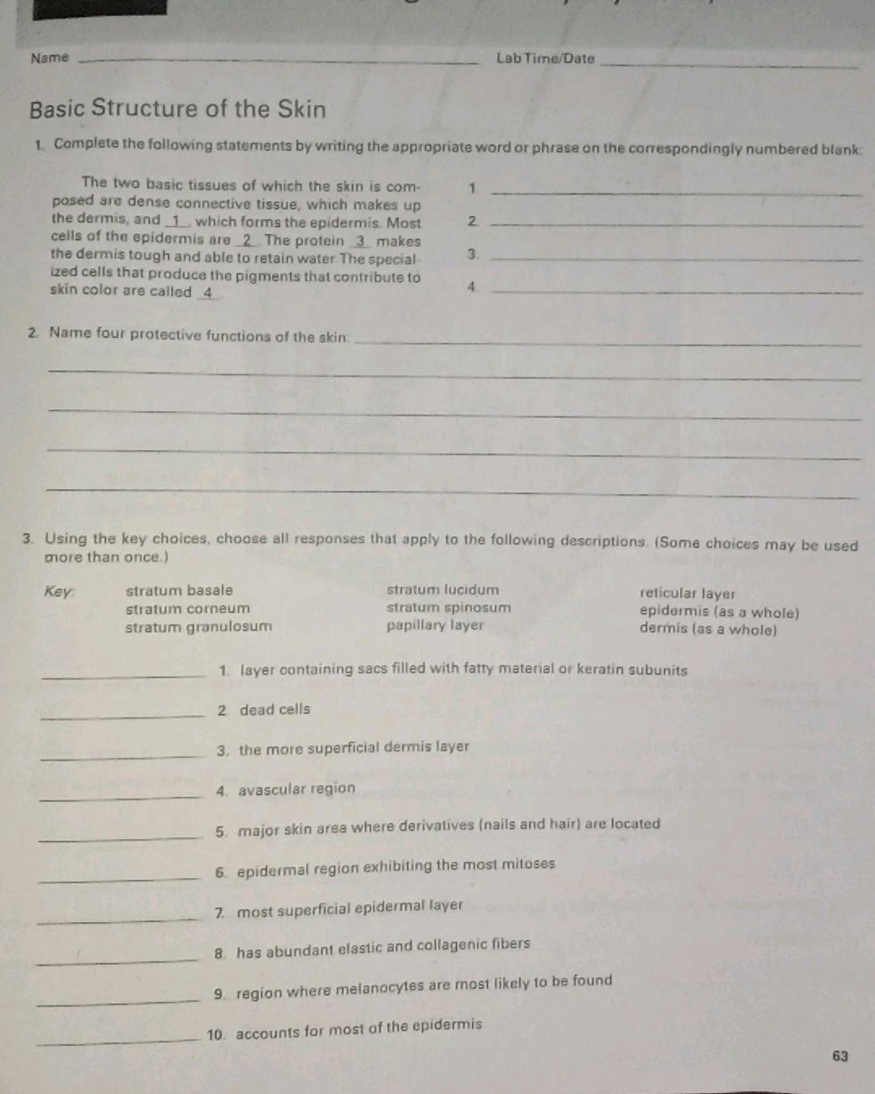 Basic Structure of the Skin 1. Complete the | StudyX
