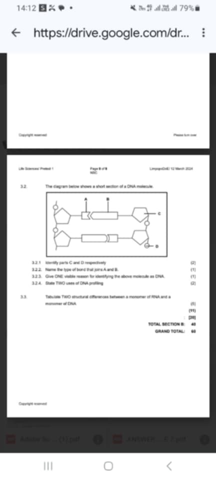 32 The diagram below shows a short section