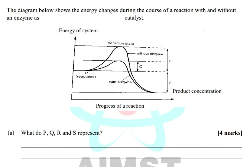 The diagram below shows the energy changes