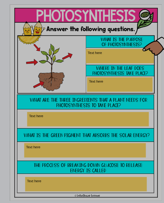 WHAT IS THE PURPOSE OF PHOTOSYNTHESIS? Text