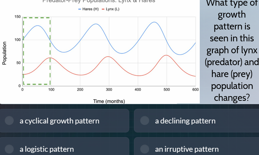What type of growth pattern is seen in this