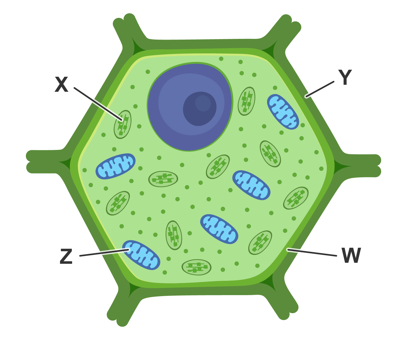 studyx-img