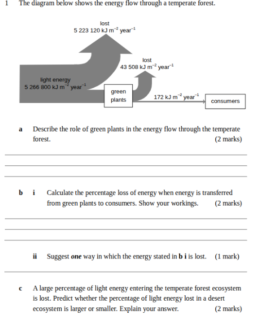 The diagram below shows the energy flow | StudyX